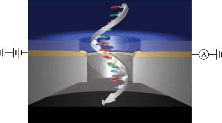 Figure 1. Researchers from Arizona State University found conductive properties in human integrin protein using Scanning Tunnel Microscopy. The image depicts this technique with a single strand of DNA.